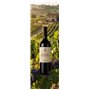 Mastroberardino Aglianico DOC 2018