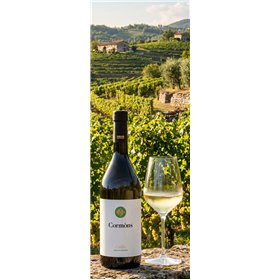 Cormòns Sauvignon DOC 2024