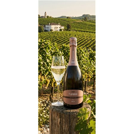 Cormòns Prosecco DOC extra dry 