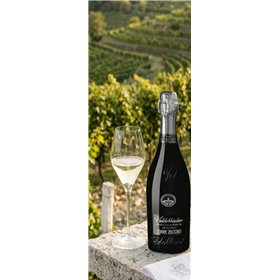 Torre Zecchei Prosecco Valdobbiadene DOCG 