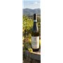 Mastroberardino Falanghina del Sannio DOC 2024