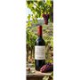 Mastroberardino Mastro Rosso IGT 2021
