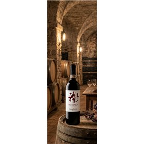 Fontanavecchia Aglianico del Taburno DOCG 2021